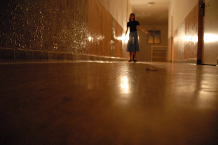 060 Expedice GEMINI 2006